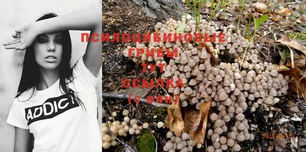 прущий лед Абаза