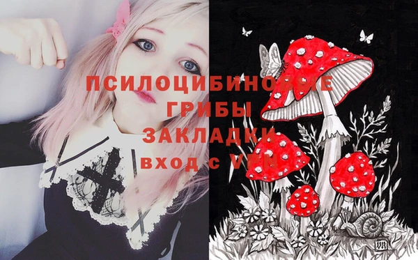 прущий лед Абаза